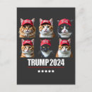 Zoek naar veiligheid briefkaarten President