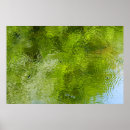 Recherche de punaise posters Nature