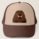 Recherche de ours gris casquettes L'alaska