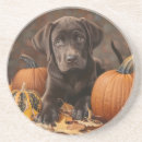 Recherche de chocolat labrador dessous de verres Dog