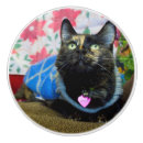 Recherche de cat boutons et poignées de porte Mignon
