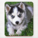 Zoek naar husky muismatten Puppy