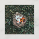 Recherche de nid cartes visite Nature