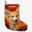 Recherche de corgi chaussette de noël Amoureux des animaux