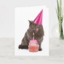 Recherche de minou rose vœux cartes Félin