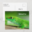 Recherche de lézard vert cartes postales Tropical
