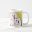 Recherche de frise de bichon tasses Animal familier