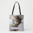 Zoek naar grappige katten accessoires Kitten