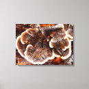 Recherche de dinde impressions sur toile Automne