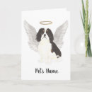 Recherche de ange chien vœux cartes Pont arc en ciel