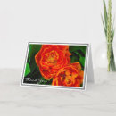 Zoek naar oranje kaarten Floreel