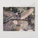 Recherche de envergure cartes postales Grand