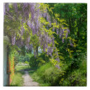 Recherche de voie carreaux Fleurs