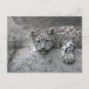 Recherche de draperie cartes postales Usa