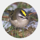 Zoek naar kroon etiketten Klein