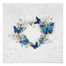 Zoek naar morpho vlinder posters Vlinders