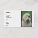 Recherche de séance de chien cartes visite Formation
