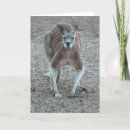 Recherche de kangourou noël cartes Rouge