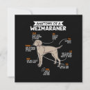 Recherche de weimaraner invitations Chiot