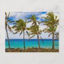 Recherche de cocotier cartes postales Arbre