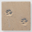 Recherche de empreinte patte chien dessous de verres Animal