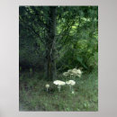 Recherche de de champignon posters Champignons