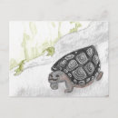 Recherche de tortue peinte cartes postales Aquarelle