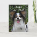 Recherche de chien papillon vœux cartes Chiens