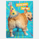 Recherche de presse magnets Animal mignon