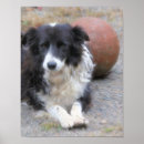 Recherche de noir blanc chien posters Pour elle