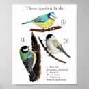 Recherche de animaux colorés posters Faune