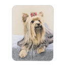 Recherche de terrier yorkshire magnets Dog