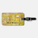 Recherche de volcan bagages étiquettes Hawaii