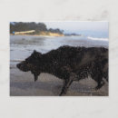 Recherche de vue mer cartes postales Image couleur