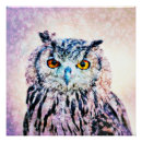Recherche de hiboux posters Faune