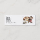 Recherche de palourde cartes visite Coquillage