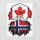 Recherche de drapeau norvège cartes postales Norway