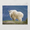 Recherche de parc national de jaspe Plein air
