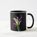 Recherche de zantedeschia Élégant
