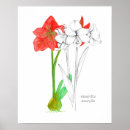Recherche de amaryllis art Fleurs rouges