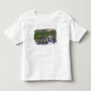 Recherche de torrent tshirts Pittoresque
