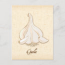Recherche de oignons cartes postales Jardinage