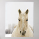 Recherche de wild horse posters Cowboy