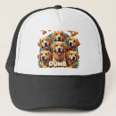 Zoek naar golden retriever petten Liefhebber