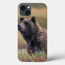Recherche de de faune tablettes coques Environnement