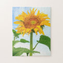 Recherche de moses puzzles Tournesol