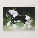 Recherche de tziganes cartes postales Cheval