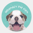 Recherche de toilettage autocollants Soin des animaux