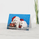 Recherche de spitz noël cartes Britannique