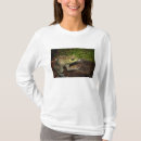 Recherche de rana Grenouille taureau